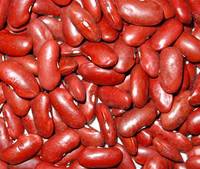  British   Red   Kidney   Beans 