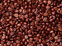 Fresh Coffee Bean