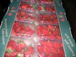 Strawberry   Egypt 