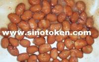 Canned Fava Beans