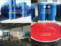 Tomato Paste Brix 28/30 Hot Break