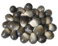 Canned Straw Mushroom