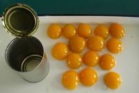 Canned Apricot in Light Syrup