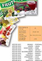  Instant   Flavoured   Drink s