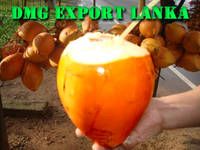 King Coconut Water