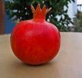 Supply Pomegranate Juice Concentrate Brix 65