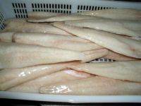 Frozen Pollock Fillet