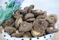  Dried   Mushroom 