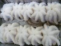 Frozen Baby Octopus Whole Cleaned