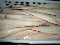 Frozen Pollock Fillet/Portion