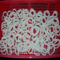  Todarodes   Pacificus   Squid   Ring 