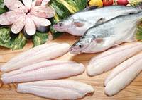 Pangasius Hypophthalmus (  Basa  Fish)
