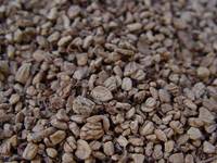  Olive   Kernel s