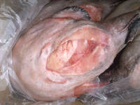 Sell Frozen  Monkfish  H/G