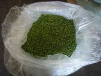  Dehydrated   Green   Pea s