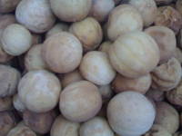  Dried   Lemon   Yellow 