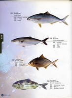  Fish ery &  Fish 