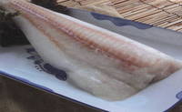 Frozen Chum Salmon