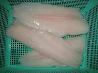 Pangasius Fillet