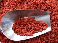 Goji Berry