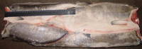 Frozen Chum Salmon WR; HG
