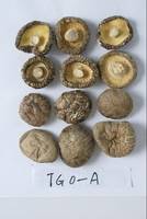 Shiitake  Mushroom (4-5cm),Agricultural,Food