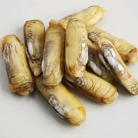 Frozen  Razor  Clam