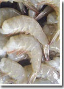  Raw   White   Shrimp 