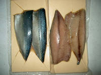  Frozen   Chub   Mackerel  & fillet(seasoned will be available)