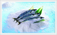 Jagalchi  Salted   Mackerel , Frozen Seafood