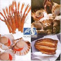 Seafood Fresh and Frozen