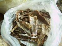Dried Bamboo Sprouts