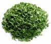  Parsley 