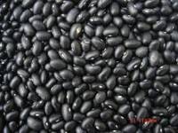 Small Black Kidney Beans