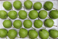 Pears