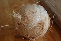 Fresh Coconut