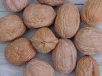 Pie Nuts Pine Nuts Macademia Nuts Walnuts Almonds