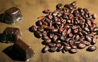 Roasted Cocoa Bean