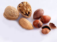 Nut and Hickory