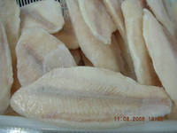 Pangasius Fillet, Yellow Color