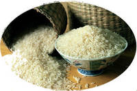  Rice 
