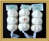 Pure White Garlic