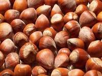 Hazelnut