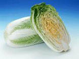 Chinese Cabbage