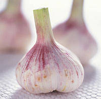 Garlic(Fresh,Dry)