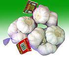 Jinxiang Normal White Garlic(2010)