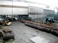  Palm  Oil