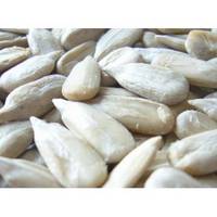 Sunflower Seeds Kernel