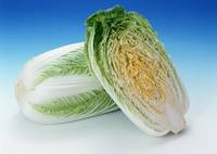 Chinese Cabbage
