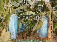 Banana  Tree   Bag 